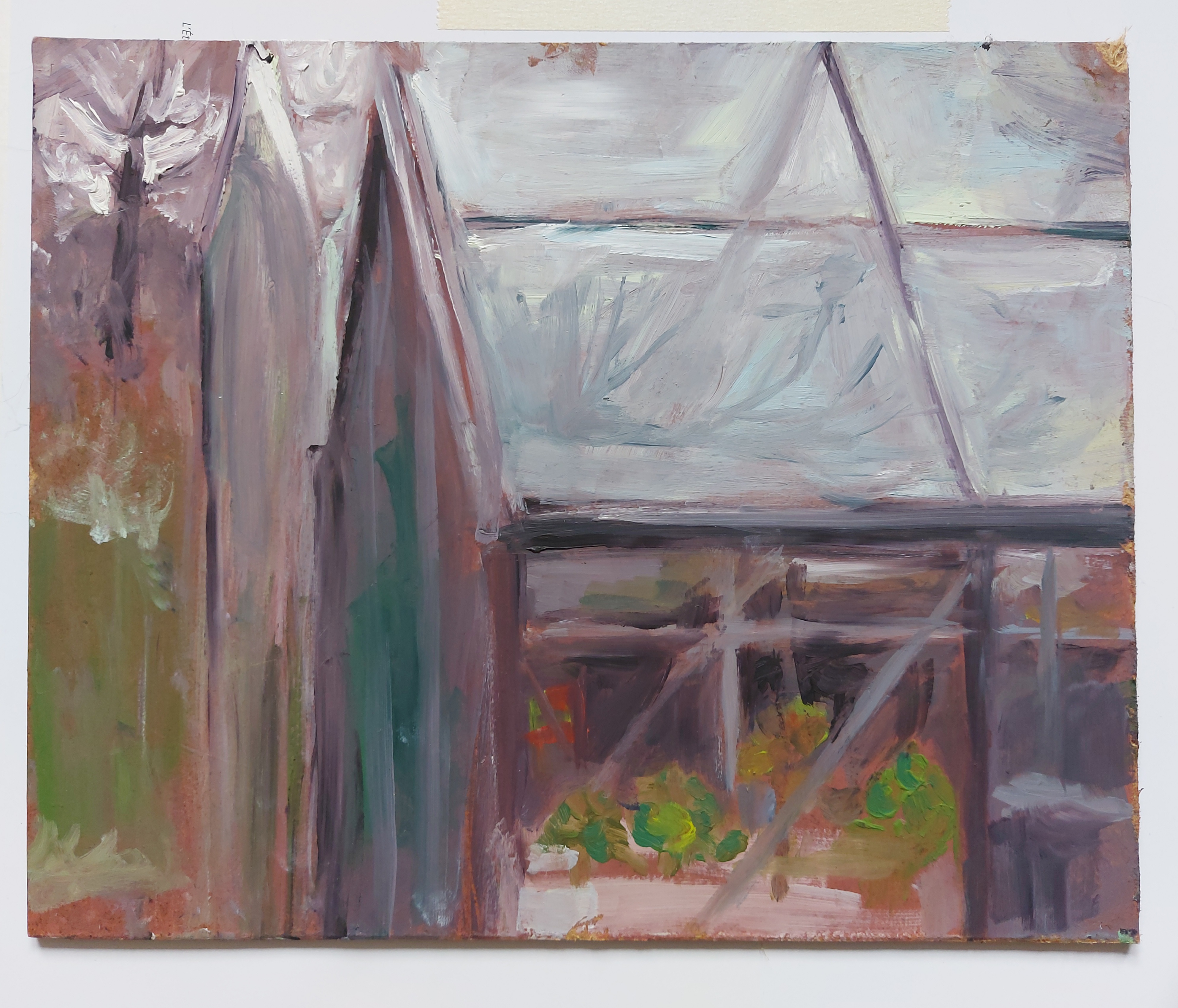 Greenhouse with transparent roof and walls, interior with green plants in pots, exterior with blurred trees